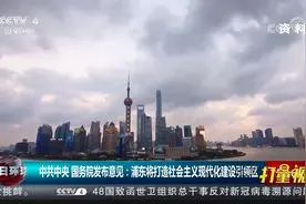 权威发布！浦东将打造社会主义现代化建设引领区|今日环球视频封面