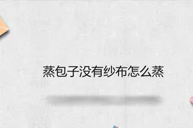 蒸包子没有纱布怎么蒸视频封面