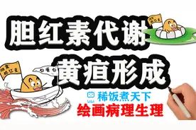 【绘画病理生理】胆红素代谢与黄疸形成