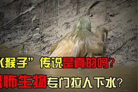 “水猴子”竟是树懒所变？行动缓慢又聋又瞎，50%死在拉粑粑路上视频封面
