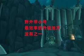 魔兽世界怀旧服：野外带小号最效率的升级地方，没有之一视频封面