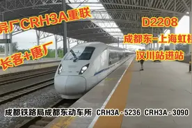 重联黄金眼CRH3A担当D2208（成都东-上海虹桥）汉川站鸣笛进站视频封面