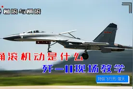 【老飞教学】桶滚机动是什么，歼11现场教学，你以为的都是错的视频封面