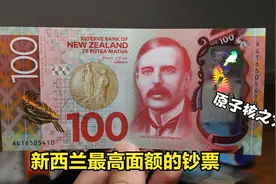 新西兰的百元大钞，约合人民币460元，正面人物是原子核之父