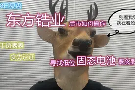 2.8复盘：东方锆业后续操作指导，挖掘低位固态电池股。视频封面