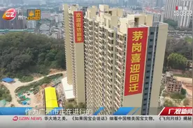 山水田园 茅岗未来视频封面