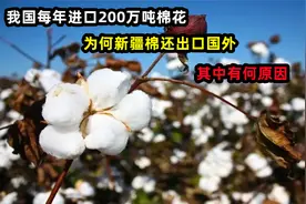 我国每年进口200万吨棉花，为何新疆棉还出口国外？其中有何原因视频封面