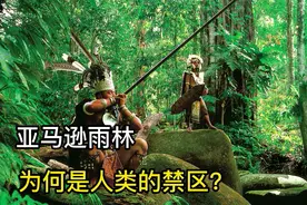 人类的禁区又是动物天堂，为何如此恐怖？亚马逊雨林深处有什么视频封面