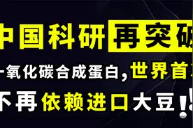 中国科研突破：世界首家用一氧化碳合成蛋白！不再依赖美国大豆！视频封面