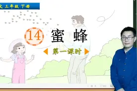 三年级下册语文《14.蜜蜂》第1课时，学习课文，打好语文学习基础视频封面