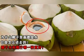 为何椰子里面都是水，它是怎么进去的？椰子水和椰汁哪一种更好？视频封面