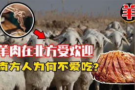 羊肉在北方大受欢迎，南方人却不爱吃，真的是因为膻味重吗？视频封面