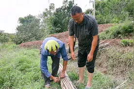 农村是朴实无华的晚餐，简单淳朴的邻里关系，让二哥二嫂感到知足视频封面