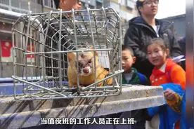 北京一处生鲜超市黄鼠狼潜入电表箱，咬着人咋办？