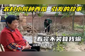 农村家庭趣事，小伙每天上一当当当不一样，看完不笑算我输！视频封面