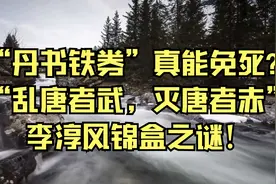 “丹书铁券”真能免死？“乱唐者武，灭唐者赤”李淳风锦盒之谜！视频封面