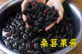 去邻居家摘3斤桑葚，自制【果酱】健康无添加，三姐弟吃得乐开花视频封面
