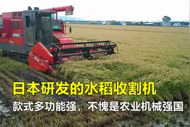 日本研发的水稻收割机，款式多样功能实用，不愧为农业机械强国！视频封面