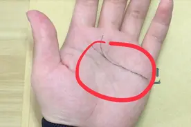感情线末端出现分叉：末端分两叉 ，且分叉向上视频封面