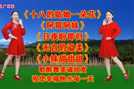 《十八的姑娘一朵花》《阿哥阿妹》《日夜盼郎归》《无言的温柔》视频封面