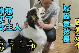 狗狗看见女主人，后激动地尿了一地，原因竟然是因为这个视频封面