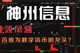 神州信息：独领风骚，能否成为数字货币的龙头?视频封面