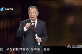 中国是世界上最大养猪国，平均一年7亿头出栏视频封面