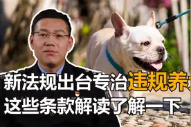 遛狗不牵绳违法？新规出台专治违规养犬，这些条款解读了解一下！视频封面