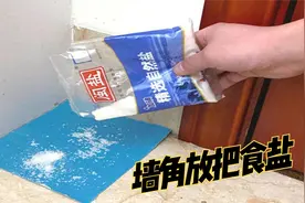 不管有钱没钱，家里墙角记得撒一把食盐，用途家家实用，学会不亏视频封面