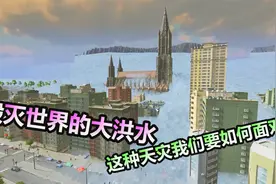 都市天际线：灾难型单机游戏，毁灭世界的洪水来临该怎么面对？视频封面