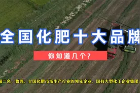 全国化肥十大品牌，你了解几个？视频封面