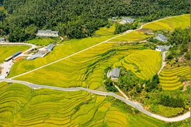 世界最大客家梯田！江西崇义上堡梯田入选世界灌溉工程遗产视频封面