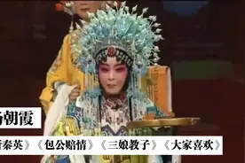 十大名旦杨朝霞，《斩秦英》《三娘教子》《包公赔情》，嘹得很！视频封面