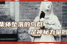 鸟群集体坠落，是神秘力量所致吗，视频结尾揭晓答案视频封面