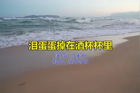 马美如-泪蛋蛋掉在酒杯杯里视频封面