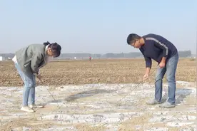 农村小夫妻地里干活，弯着腰弓着背找啥？老公：越干越像扫地雷！视频封面
