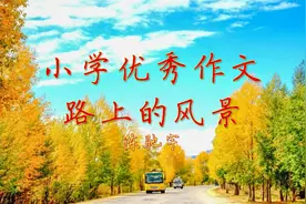小学作文朗读《路上的风景》每天听篇作文，语文考试成神！视频封面