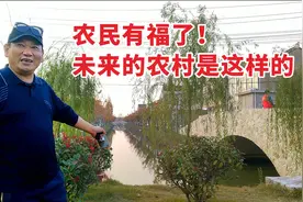 未来农村是啥样？看江苏这村就知道了！人在画中游，让城市人羡慕视频封面