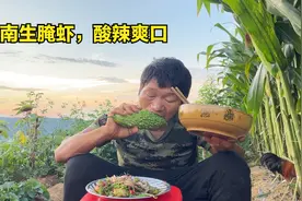 云南生腌虾的做法，加小米辣、柠檬酸辣爽口，流浪哥还是喜欢这味