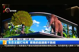 生态主题灯光秀 夜晚的昆明美不胜收视频封面