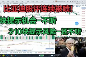 提示比亚迪的机会、风险都被喷，黑粉们错过多少收益？视频封面