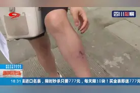 爱宠人士注意！捡个流浪猫在店里养，成都女子工作时被宠物猫咬伤视频封面