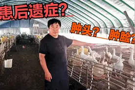 鹅肿头，肿脸还咳嗽？得了这种病，试试这几种方法缓解更有效！视频封面