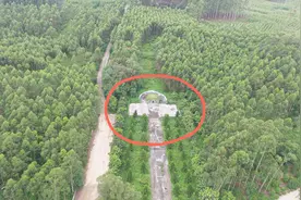 广西村边的梁将军墓地，附近知名的老虎下山之地，江西老板都说好视频封面