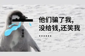 网上被骗了钱，报警有用吗？能追回吗？视频封面