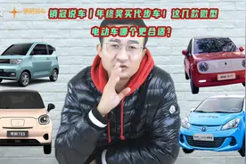 销冠说车丨年终奖买代步车！这几款领衔榜单微型电动车必须看下视频封面