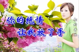 一首情歌《你的绝情让我放了手》，伤感又好听，听哭多少有情人！视频封面