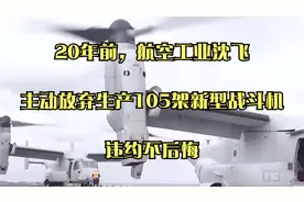 20年前，航空工业沈飞主动放弃生产105架新型战斗机，违约不后悔视频封面