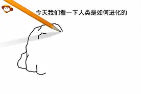 团团乐动漫：搞笑铅笔画 人类祖先是如何进化的视频封面