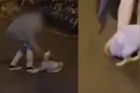 上海一女子当街抽打柴犬，叫声凄惨路人急阻拦：狗发情乱跑视频封面